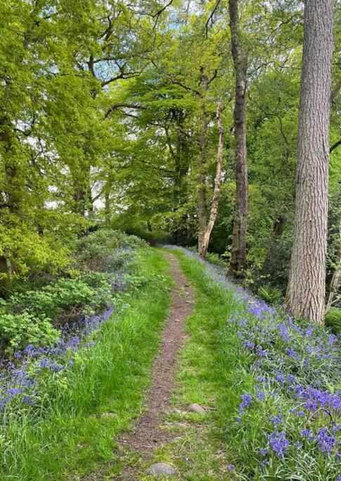 فيلا Cragside كالالندر المظهر الخارجي الصورة